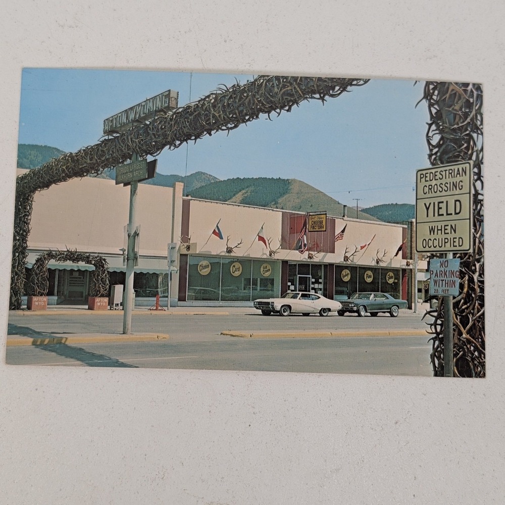 Vintage Afton Wyoming Elk Horn Arch Brog's Cheese Factory Postcard Star Valley